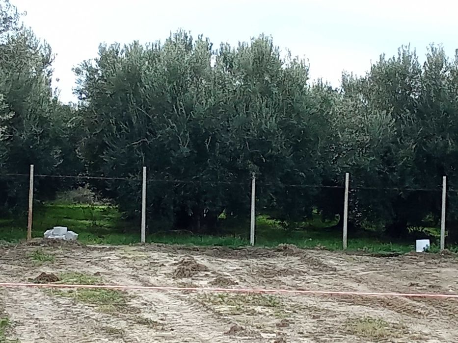 Дава  парцел 440за каравани в Кариани до брега.Ток, вода, шахта.6000 е