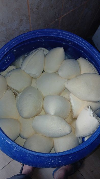 Brinza de vaca proaspăta