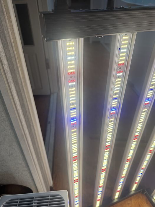 Лампа 1000 ВАТТ. Для Выращивания Растений ЛЮБОГО вида