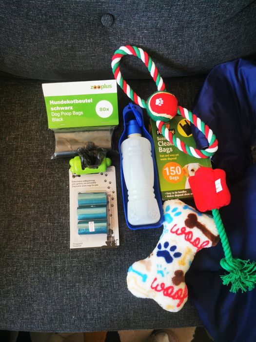 Accesorii cățel talie medie/mare