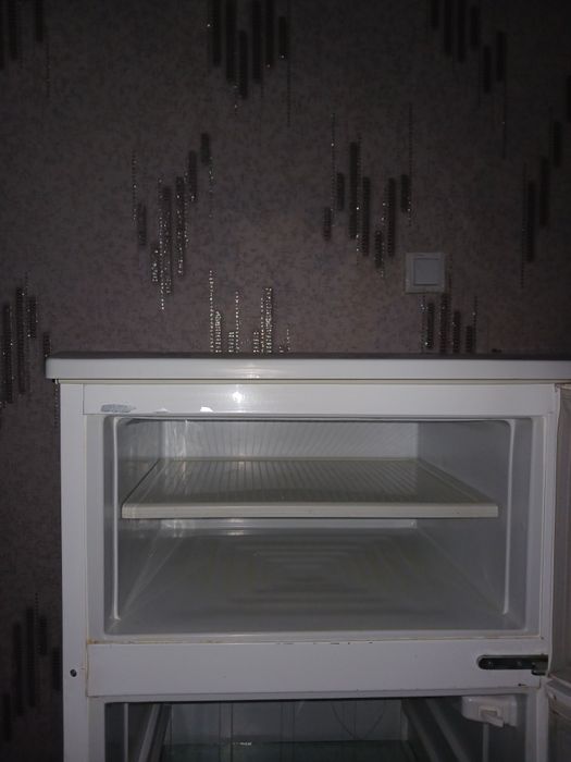 Haladelnik bor sotiladi