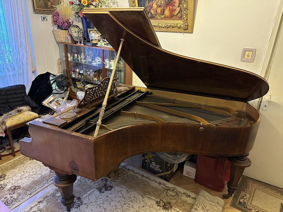 Vand pian coada lunga