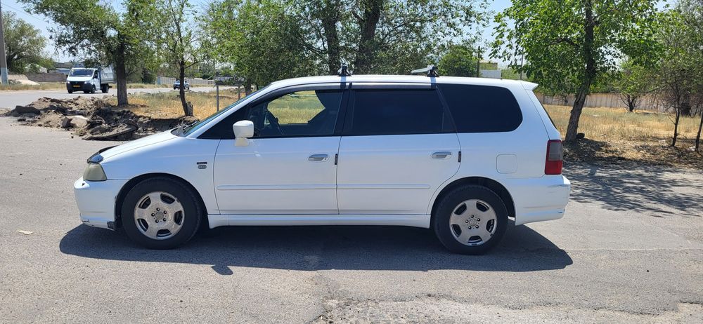 хонда одиссей абсолют