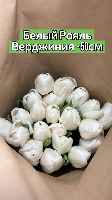 ТЮЛЬПАНЫ!!! Талдықорған!