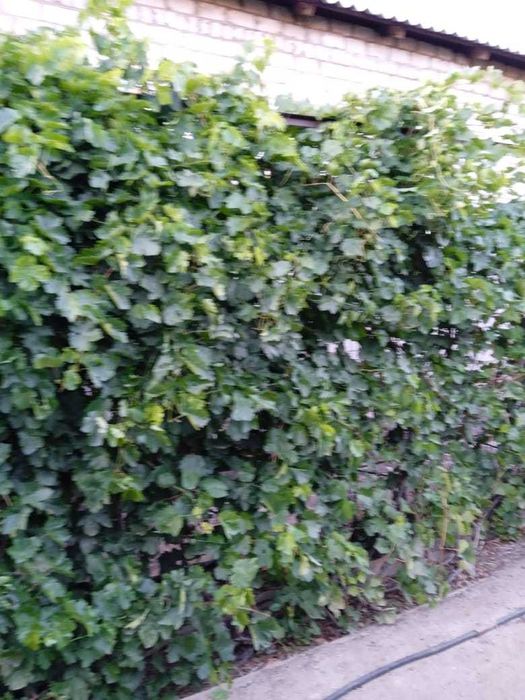 Частный дом - 4 комнаты