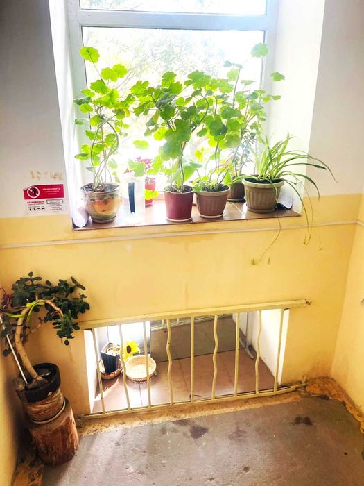 IIIПродаем 2-х ком квартиру (1000 мелочей)