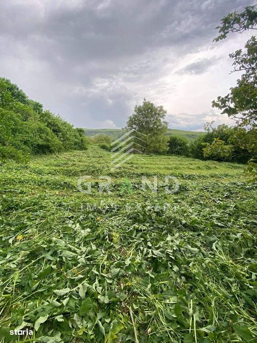 Teren 2200 mp, in Radaia, com Baciu