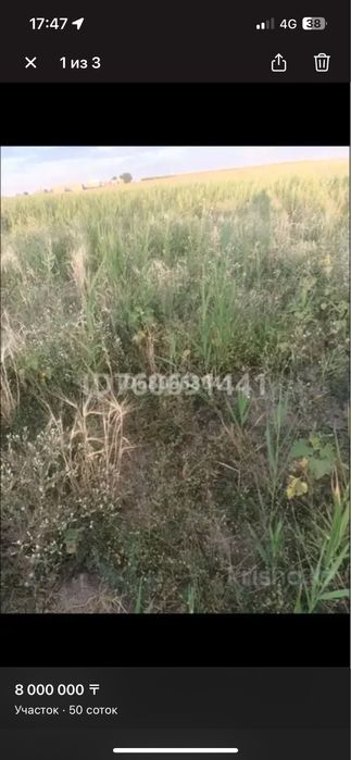 Участок 50 соток