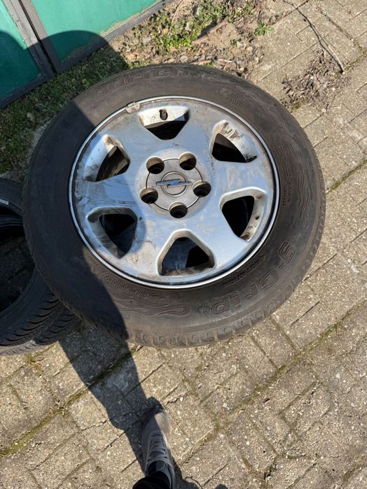 Голямо Разнообразие от Гуми!