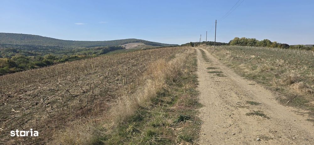 Teren 10 ha compact Covasna -Iasi