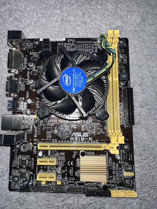 Placa de baza Asus H 81 M-K 8GB RAM