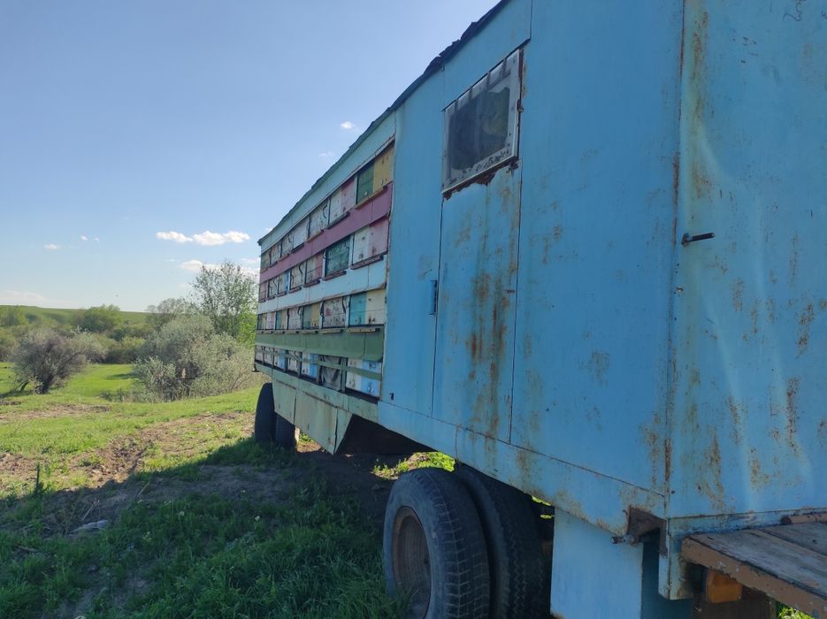 Продам пчелоприцеп