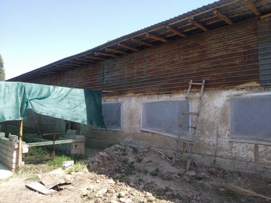 16 сотикли ховли сотилади ва таёр бизнес (мол фермаси) сотилади