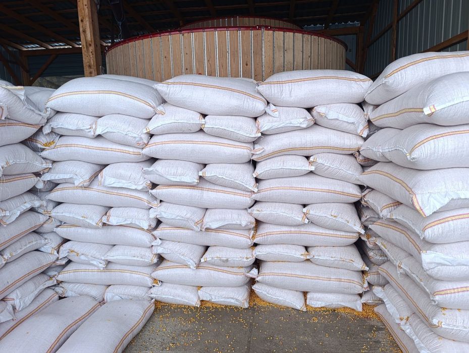 Porumb boabe 2025 posibilitate transport