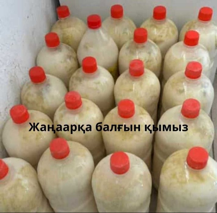 Кымыз ЖАНААРКА Қараағаш