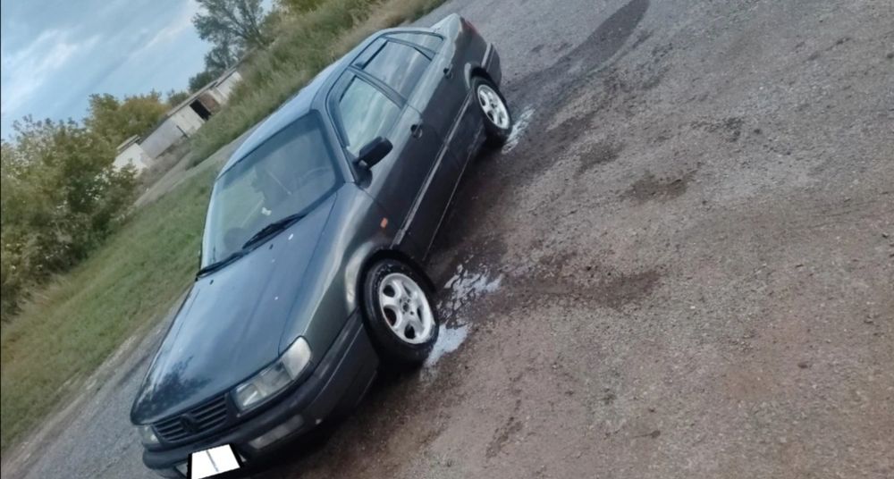 Живой пассат б4 продам