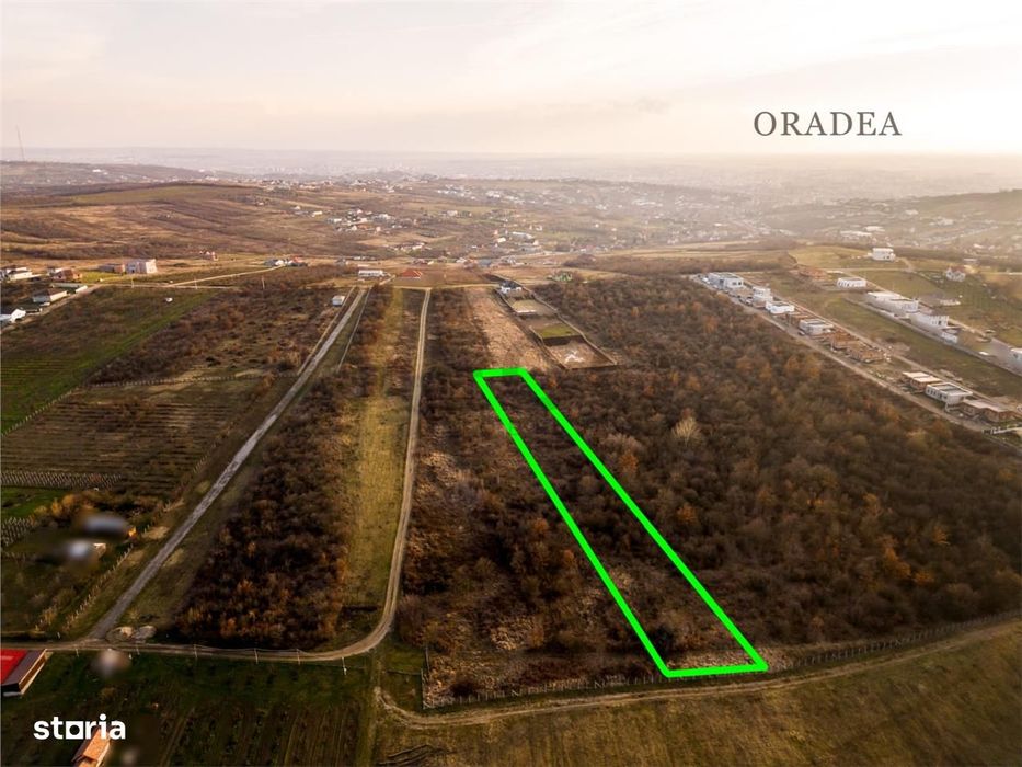 Reco Teren intravilan in Saldabagiu de munte 4333MP