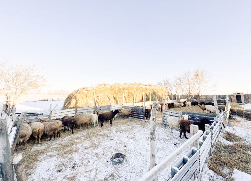 ҮЙ  Сатылады срочно