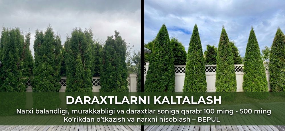 Daraxtlar va gazon kesish. Kaltalash. Shakil berish. Tozalash