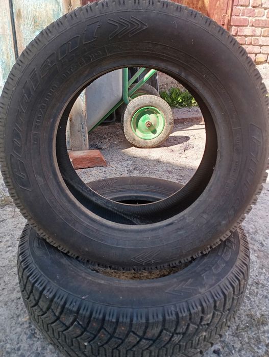 Зимняя резина кордиант