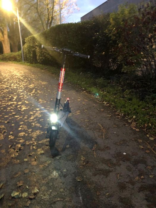 Trotineta electrică ca n8ouă