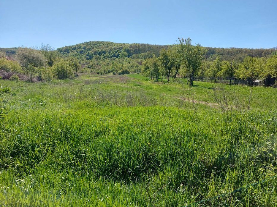 Teren 5,70 ha intravilan+extravilan,  Vladimir-Andreesti , Jud.Gorj
