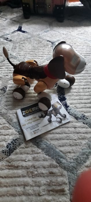 игрушечная собака-робот