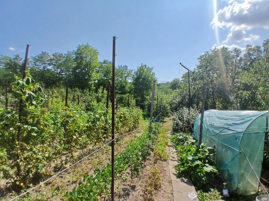 Casa de vanzare Nadis