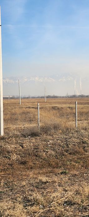 Кокозек вдоль БАКАДА