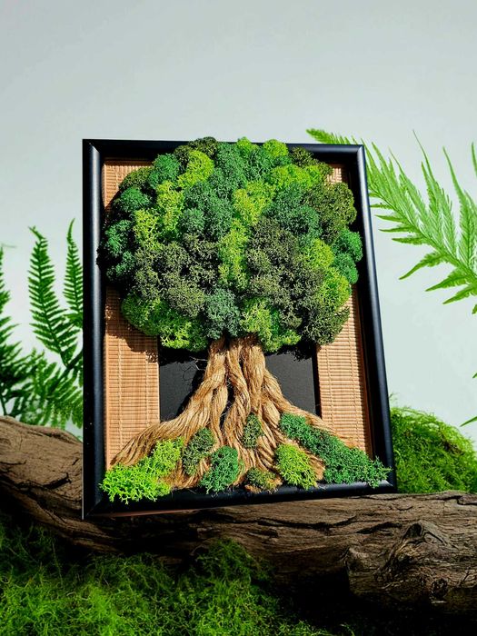 Живи картини/пана със скандинавски мъх