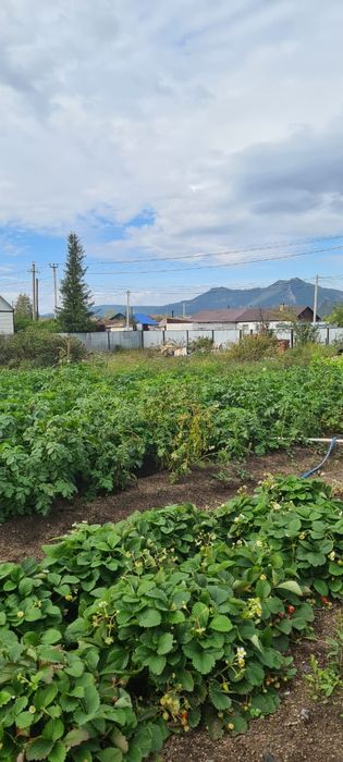 Продаём дом с магазином в Бурабай