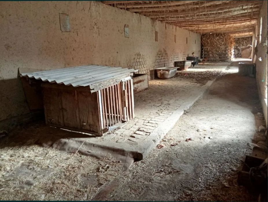 Xovli sotiladi. Yer narxida.