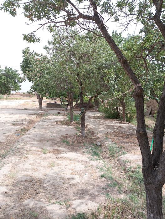 42 sotixli. uy maktab  bog‘cha yonida