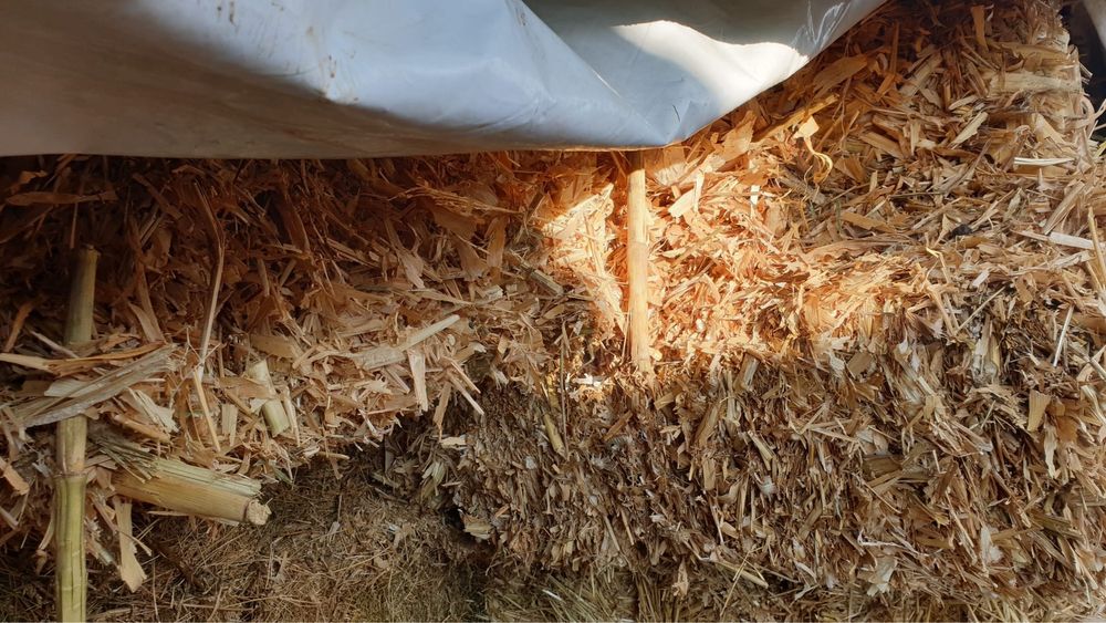 Vand baloti de lucerna