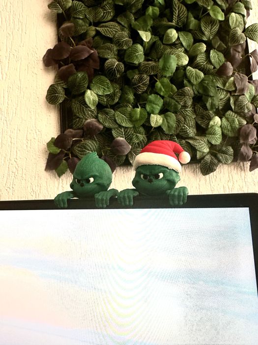 Grinch stalker pentru monitor/laptop sau orice alt spatiu