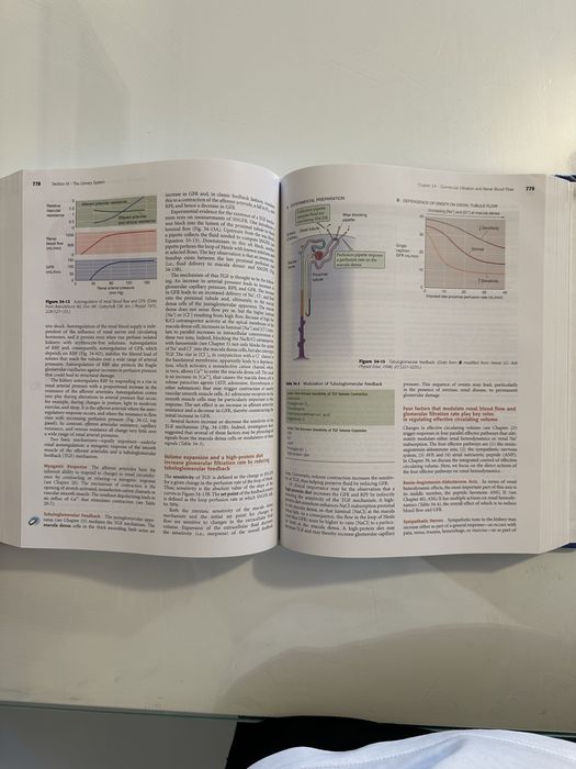 Boron 2nd edition (updated version)