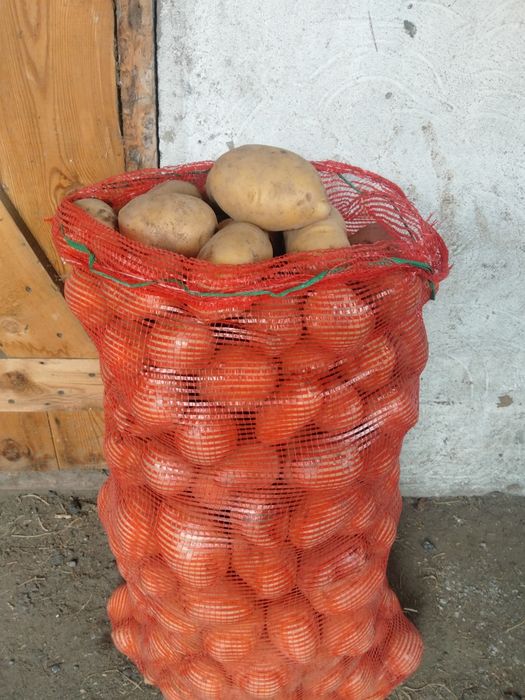 Продается картошка