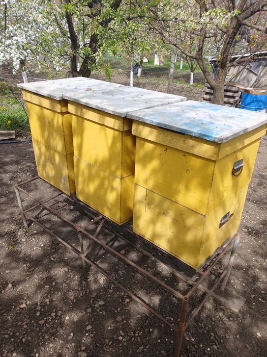 Lada albine 12 rame jos 12 rame sus