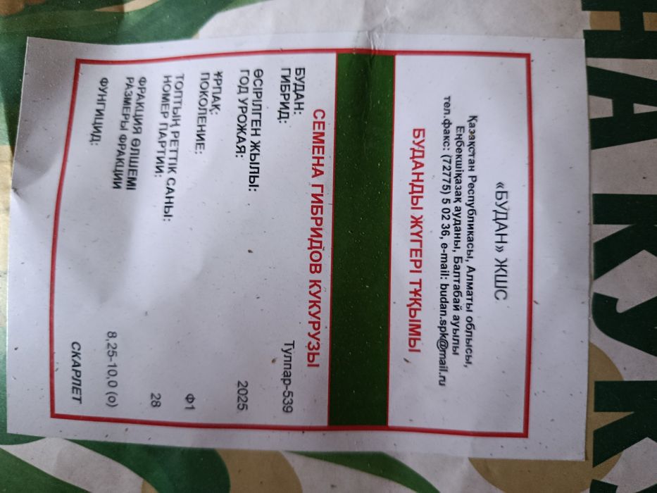 Продаю семена кукурузы