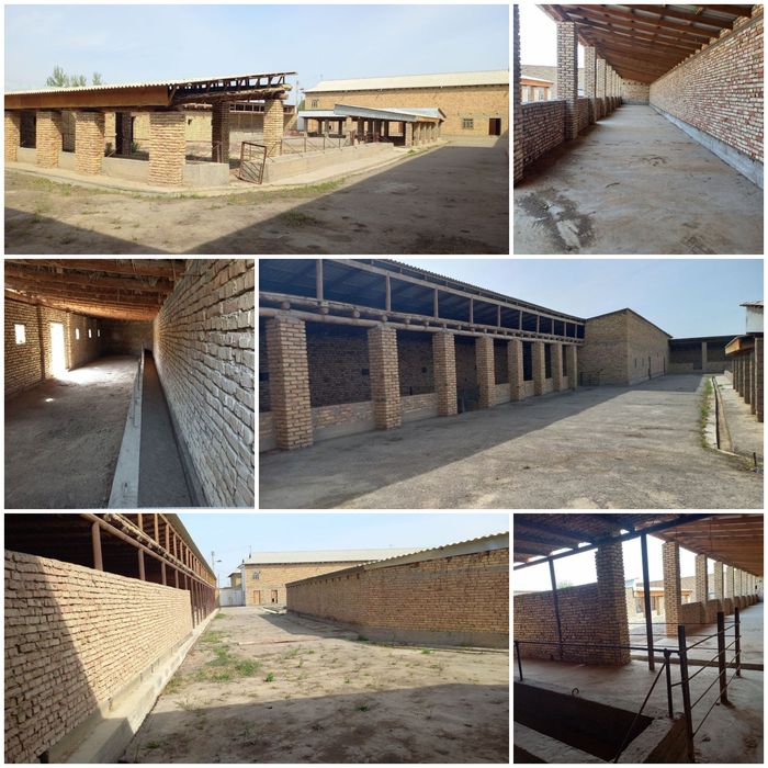 Barcha qulayliklarga ega xovli sotiladi