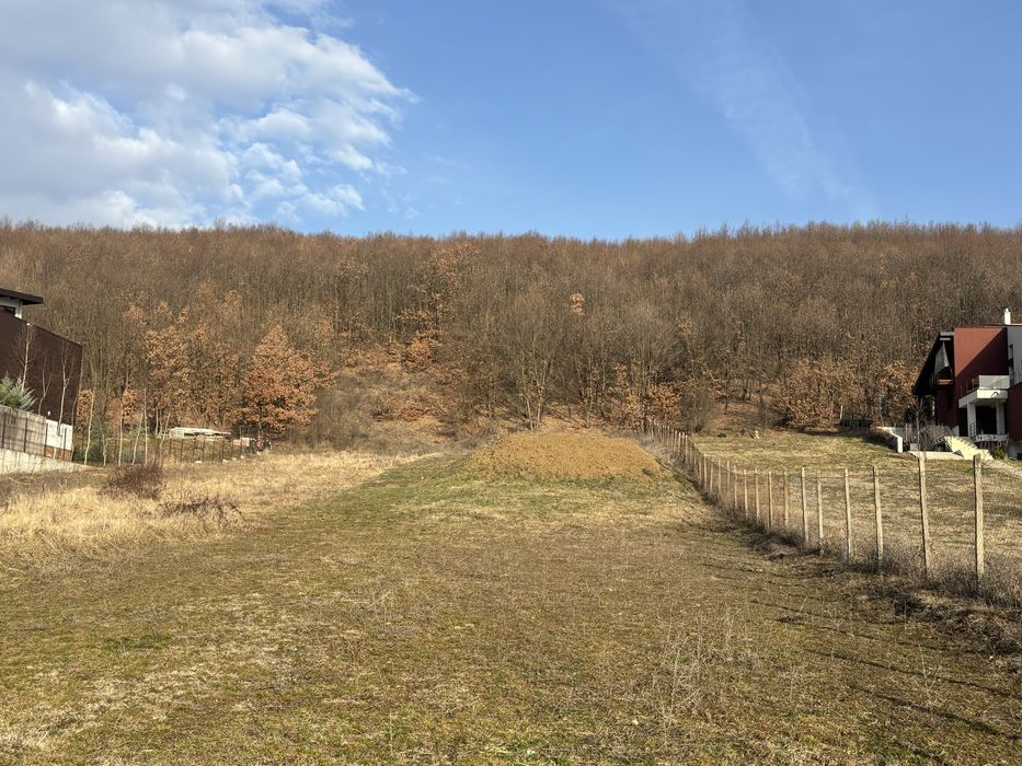 Teren Valea Mare Podgoria