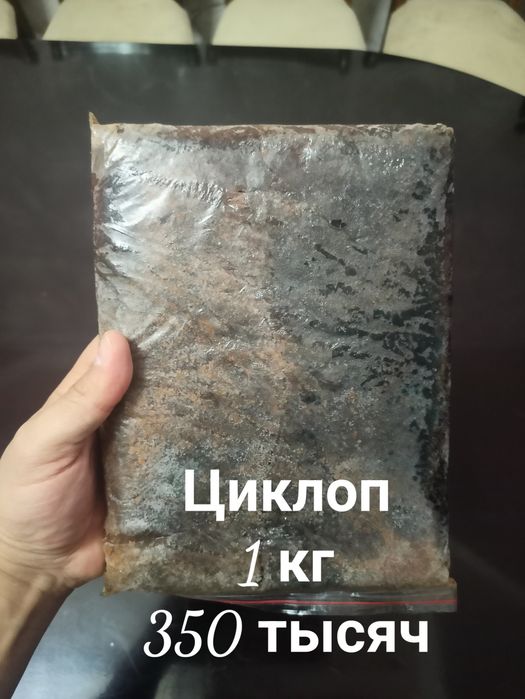 Замороженный корм для рыбки