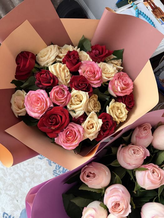 Продам цветы розы