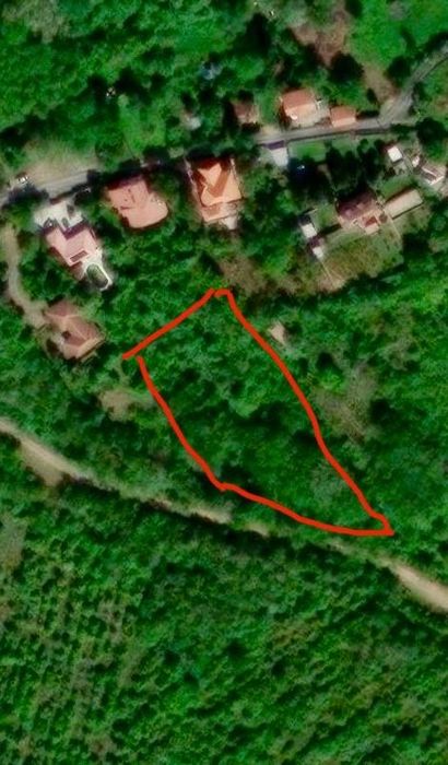 Teren intravilan 5.000 mp de vânzare – Valea Domnească, Ghioroc