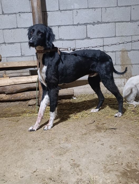 Сатылады полный рабочи