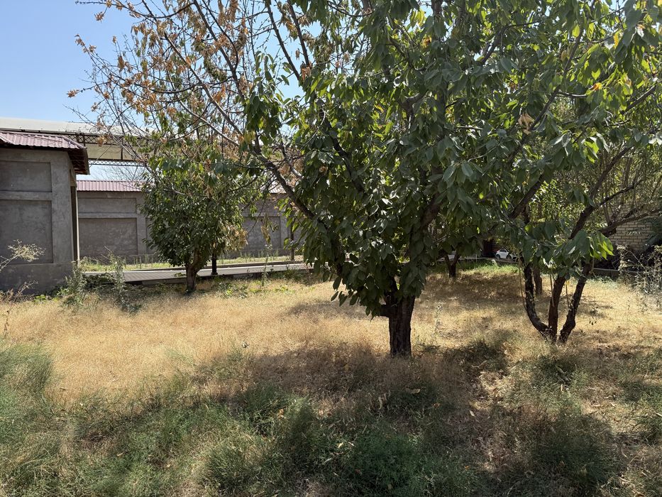 5 соток в Алмазарском районе документы и кадастр есть, без посредников