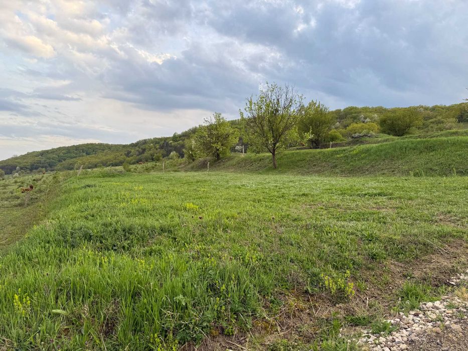 Teren Intravilan Aiud – CARTIER REZIDENȚIAL | sub pădure | 30€/mp | investiție