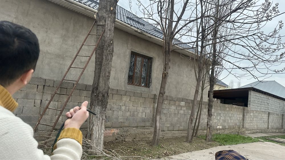 Бесплатно отдам дрова