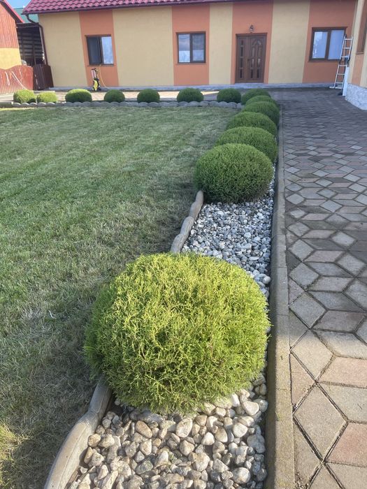 Ofer servicii Gradinarit
