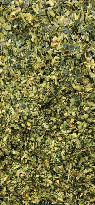 Siloz de porumb masa verde